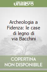 Archeologia a Fidenza: le case di legno di via Bacchini