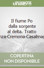 Il fiume Po dalla sorgente al delta. Tratto Piacenza-Cremona-Casalmaggiore libro