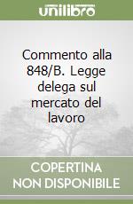 Commento alla 848/B. Legge delega sul mercato del lavoro