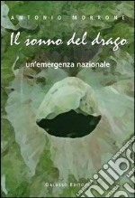 Il sonno del drago. Un'emergenza nazionale libro