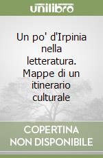 Un po' d'Irpinia nella letteratura. Mappe di un itinerario culturale libro