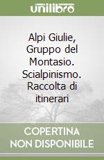 Alpi Giulie, Gruppo del Montasio. Scialpinismo. Raccolta di itinerari libro