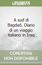 A sud di Bagdad. Diario di un viaggio italiano in Iraq libro