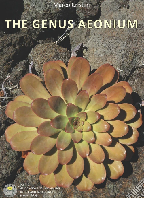 The genus aeonium