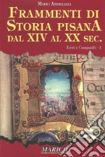 Frammenti di storia pisana dal XIV al XX secolo. Vol. 1: Torri e campanili libro