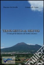 Terno secco al Vesuvio. Un'idea per la riduzione del rischio vulcanico. Ediz. illustrata libro