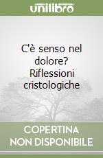 C'è senso nel dolore? Riflessioni cristologiche