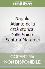 Napoli. Atlante della città storica. Dallo Spirito Santo a Materdei libro