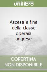 Ascesa e fine della classe operaia angrese