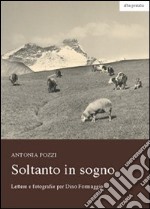 Soltanto in sogno. Lettere e fotografie per Dino Formaggio libro