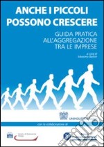 Anche i piccoli possono crescere. Guida pratica all'aggregazione tra le imprese libro