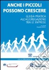 Anche i piccoli possono crescere. Guida pratica all'aggregazione tra le imprese libro