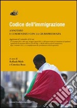 Codice dell'immigrazione