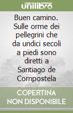 Buen camino. Sulle orme dei pellegrini che da undici secoli a piedi sono diretti a Santiago de Compostela