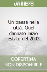 Un paese nella città. Quel dannato inizio estate del 2003 libro