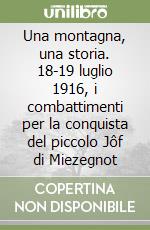 Una montagna, una storia. 18-19 luglio 1916, i combattimenti per la conquista del piccolo Jôf di Miezegnot