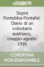 Sopra Pontebba-Pontafel. Diario di un volontario austriaco, maggio-agosto 1916