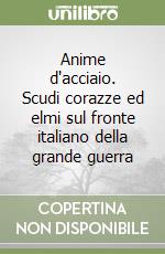 Anime d'acciaio. Scudi corazze ed elmi sul fronte italiano della grande guerra libro