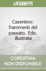 Casentino: frammenti del passato. Ediz. illustrata