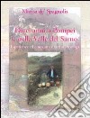 Dieci anni a Pompei e nella valle del Sarno libro di Conticello De' Spagnolis Marisa