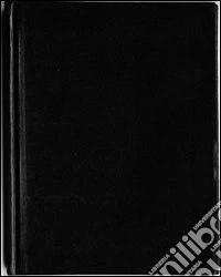 See nothing. Ediz. italiana e inglese. Vol. 2 libro
