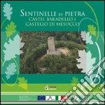 Sentinelle di pietra. Castel Baradello e Castello di Mesocco. Con DVD libro