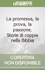 La promessa, la prova, la passione. Storie di coppie nella Bibbia libro