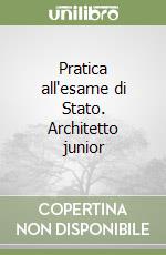 Pratica all'esame di Stato. Architetto junior libro