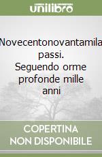 Novecentonovantamila passi. Seguendo orme profonde mille anni libro