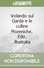 Volando sul Garda e le colline Moreniche. Ediz. illustrata libro