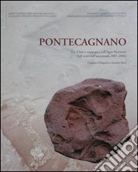 Pellegrino Carmine. Rossi Amedeo - Pontecagnano I.1. Citt? E Campagna Nell'Agro Picentino. (Gli Scavi Dell'Autostrada 2001-2006). [Con Cd-Rom] libro