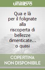 Qua e là per il folignate alla riscoperta di bellezze dimenticate... o quasi libro