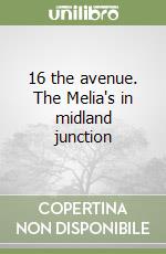 16 the avenue. The Melia's in midland junction libro