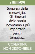 Sorpresi dalla meraviglia. Gli itinerari della storia incontrano i più importanti parchi tematici d'Italia libro