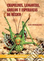 Chapulines, langostas, grillos y esperanzas de Mexico-Grasshoppers, locusts, crickets and katydids of Mexico