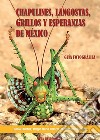 Chapulines, langostas, grillos y esperanzas de Mexico-Grasshoppers, locusts, crickets and katydids of Mexico libro