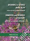 Bombici e sfingi delle Alpi e le loro larve, pupe e bozzoli. Ediz. italiana e inglese libro