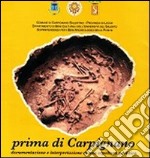 Prima di Carpignano. Documentazione e interpretazione di una sepoltura neolitica libro