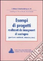 Educhandicap. Vol. 19: Esempi di progetti realizzati da insegnanti di sostegno libro