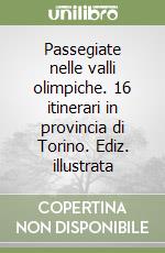 Passegiate nelle valli olimpiche. 16 itinerari in provincia di Torino. Ediz. illustrata