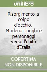 Risorgimento a colpo d'occhio. Modena: luoghi e personaggi verso l'unità d'Italia libro