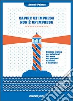 Capire un'impresa non è impresa. Bussola pratica per orientarsi nel mare dei problemi aziendali e risolverli!