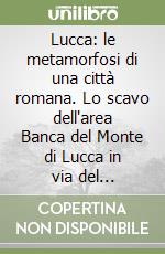 Lucca: le metamorfosi di una città romana. Lo scavo dell'area Banca del Monte di Lucca in via del Molinetto libro