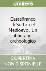 Castelfranco di Sotto nel Medioevo. Un itinerario archeologico libro