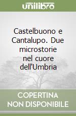Castelbuono e Cantalupo. Due microstorie nel cuore dell'Umbria libro