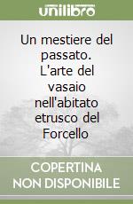 Un mestiere del passato. L'arte del vasaio nell'abitato etrusco del Forcello libro