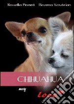 Chihuahua my love