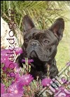 Bouledogue francese libro