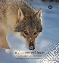 Il fascino del lupo. Cane lupo cecoslovacco-The charm oh a wolf. Czechoslovakian wolfdog. Ediz. illustrata libro