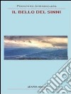 Il bello del Sinni libro